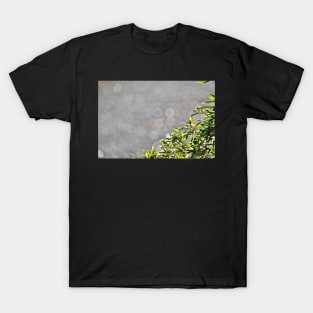 bamboo leaves border T-Shirt